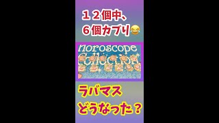 星のカービィ　ホロスコープコレクション　ラバマスグミ　その後　#Shorts