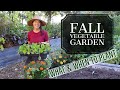 What I'm Planting Now-- Fall Vegetable Garden Zone 6