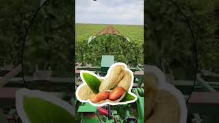 🚜டிராக்டர் PTO மூலம் மணிலா அறுவடை செய்யும் இயந்திரம் 🇮🇳 #shorts #trending #groundnut #vadakan #troll