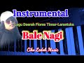 BALE NAGI_INSTRUMENTAL_Lagu Daerah Flores Timur Larantukal