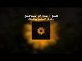 Sunflower Of Mine | Barakallah | Wedding Nasheed - Siedd | Sped Up • Vocals Only |