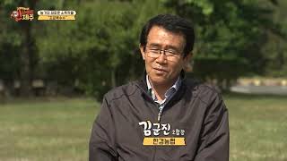 농가의 새로운 소득작물 ‘초당옥수수’