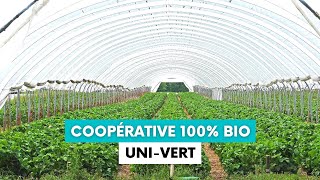 Uni Vert, la première coopérative 100% bio de Provence