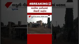 Junagadh News | માળીયા હાટીનામાં મેઘાવી માહોલ | Weather Update | Gujarat