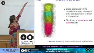 The Hidden Structure of the Neocortical Column