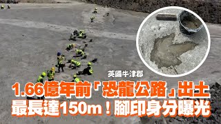 1.66億年前「恐龍公路」出土　最長達150m！腳印主人身分曝｜國際｜英國｜遺跡