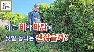 [태풍 카눈] 이 큰 비와 바람에 텃밭 농막은 괜찮을까?