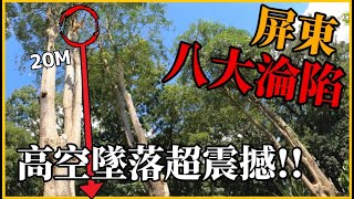 屏東綠鬣蜥全淪陷！五樓高空移除直墜落！移除難度Sss！八大森林公園移除全過程 (上) ！TRG用臉探險 | EP63