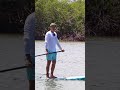 How to SUP Foil | #shorts