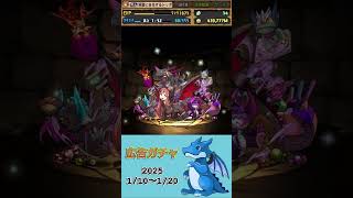 [パズドラ]  広告ガチャ　2025/1/11〜1/20