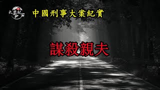 桃《中国刑事大案纪实》