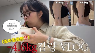 VLOG : 햄들..저 ㄹㅇ 일주일만에 -4.6kg 뺌요..ㅠ | 만년 아가리다이어터의 진짜 다이어트 브이로그 | 직장인 일상브이로그,직장인 다이어트,일주일만에 5키로 감량하기!