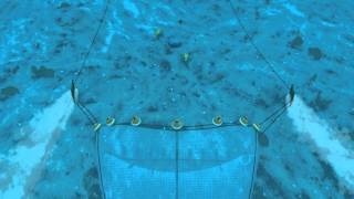 How Seafood is Caught: Bottom Trawling