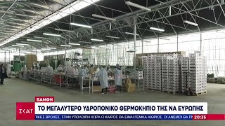 Στην Ξάνθη το μεγαλύτερο υδροπονικό θερμοκήπιο της ΝΑ Ευρώπης–Πράσινα προϊόντα βγαλμένα απ'το μέλλον