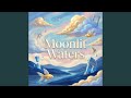 Moonlit Waters