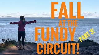 PART 3!  FUNDY CIRCUIT, late FALL, SOLO Hiking & Camping in the BACKCOUNTRY in NEW BRUNSWICK