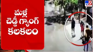 రంగారెడ్డి జిల్లాలో చెడ్డీ గ్యాంగ్ కలకలం | Cheddi Gang  - TV9