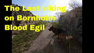 Real Vikings German shepherd Rex viking fortress The Last viking on Bornholm blood egil story 2 of 4