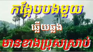 កង្កែបបងមួយ#មានខាងប្រុសស្រាប់#ជូនតាមសំណូមពរប្អូន Laksmy chim# karaoke kh cover