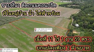 ขายที่นา ที่เกษตร ติดถนนคอนกรีตเนื้อที่ 11 ไร่เศษ ยกแปลงเพียง 2 ล้านบาท