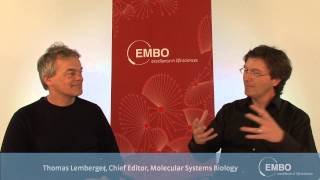 Focus on Edvard Moser - part two: Computation in the brain