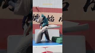 【少林七小侠】 ShaolinBoys师父：你可以的！你也可以的！（下）#shorts #ytshorts   #kungfu #gongfu #status #foryou