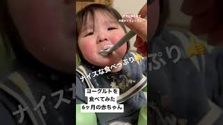 【生後211日】離乳食でヨーグルトに挑戦した6ヶ月の赤ちゃん