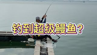 惊险！一男子在南海北部湾海域钓获一条5米长“鳗鱼”