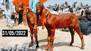 Sahiwal Mandi 2022 Update || Bakra Eid 2022 | Rate Sasta hua Ya Taiz ?