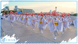 【8K】天空しなと屋 吉長『夏つばき』（ドリーム夜さ来い祭り2021）