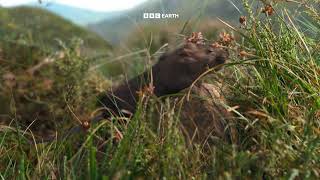 Małe wielkie podróże w BBC Earth