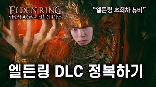 오늘 새벽까지 달림. [엘든링 DLC 3일차]