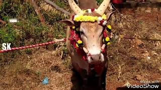 Kurupusamy thiruvila Sekkipatti Madurai