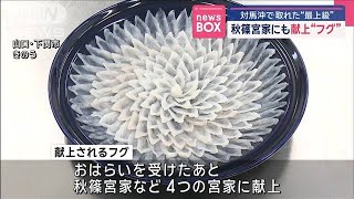 秋篠宮家にも献上フグ　対馬沖で取れた“最上級”【スーパーJチャンネル】(2025年2月13日)