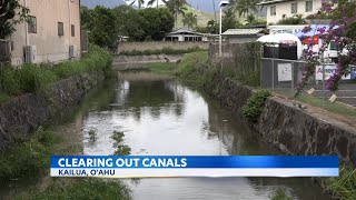 Oahu residents voice concerns over storm water drains in Kailua as possible pollution hazard