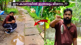 കാണയിൽ നിന്നും മീൻപിടുത്തം💥 Fishing From Drainage / Best Fishing Video / Drainage Fishing Kerala