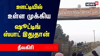 ஊட்டியில் உள்ள முக்கிய ஷூட்டிங் ஸ்பாட் இதுதான் | Ooty Famous Shooting Spot #Local18