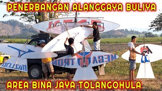 Alanggaya Buliya !! Penerbangan Layangan Alanggaya Buliya di Bina Jaya Tolangohula