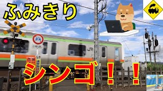 【ふみきり】信号沢山踏切　JR八高線　Japan Railway crossing JR Hachiko LINE RAILWAY(Saitama japan)