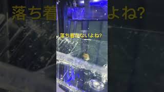 出産隔離１日目　2023/10/1