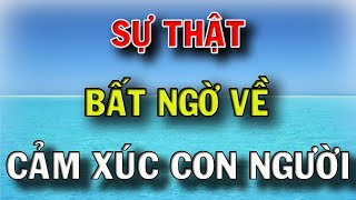 7 Sự Thật Bất Ngờ Về Cảm Xúc Con Người