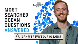 Can we reverse the damage to the ocean? | The Internet's Questions about the environment 🌊