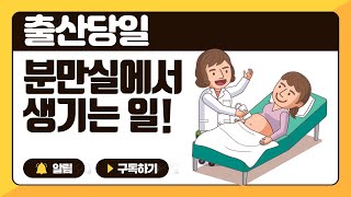 #103 출산하러 병원가면 산모에게 생기는 일 A에서 Z 까지