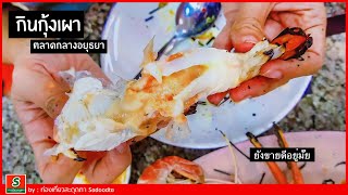 กุ้งเผายังขายดีอยู่มั๊ย ไปกินกุ้งตลาดกลางอยุธยากกัน | Eat Prawns in Ayutthaya | sadoodta