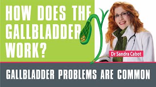 What Does the Gallbladder do? Gallbladder Removal and the importance of Bile | #gallbladder #bile