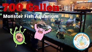 700 gallon Monster Display Aquarium at Local Fish Store