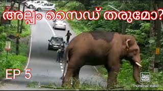 അതിരപ്പിള്ളിക്ക് പൊക്കോട്ടെ?#kerala #athirappilly#travel #elephant #elephantattack #tourism #valpara