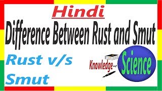 Difference Between Rust and Smut | Plant Pathology | Wheat Disease D/B #6