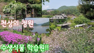 230513~충북옥천 수생식물 학습원/천상의 정원/대청호와 어울러진 멋진 정원/유럽풍의 멋진 카페