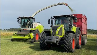 Claas Jaguar 980 Harvesting Grass, Grahns Maskintjänst AB. (4K)